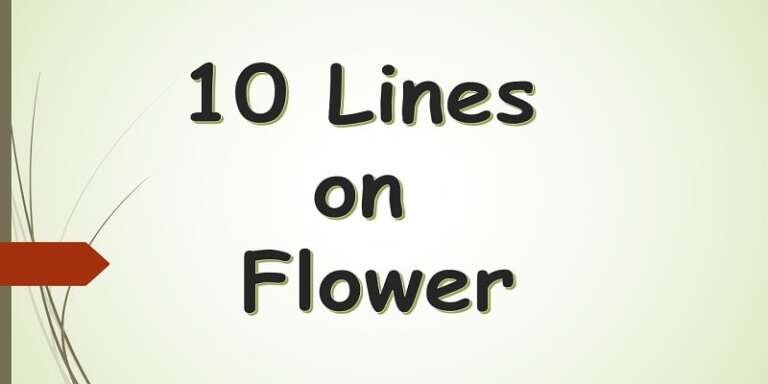 10-lines-on-teachers-day-in-english-for-class-1-2-3-4-5-to-10