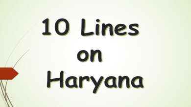 10 Lines on Haryana