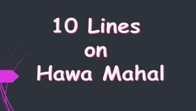 10 Lines on Hawa Mahal