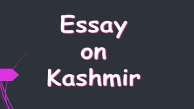 Essay on Kashmir