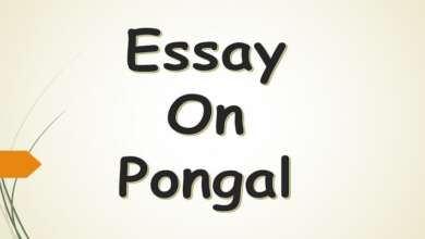 Essay on Pongal