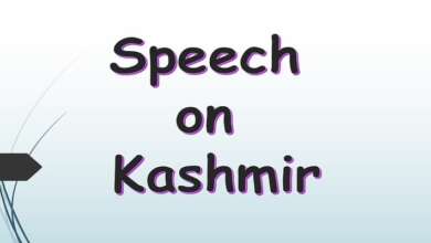 Speech on Kashmir
