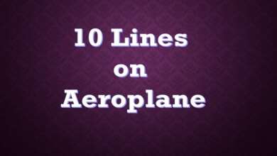 10 Lines on Aeroplane