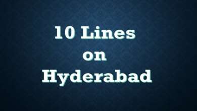 10 Lines on Hyderabad