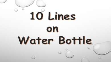 10 Lines on Water Bottle