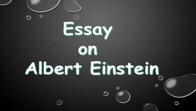 Essay on Albert Einstein