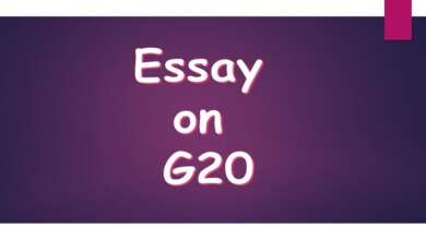 Essay on G20