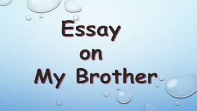 Essay on My Brother