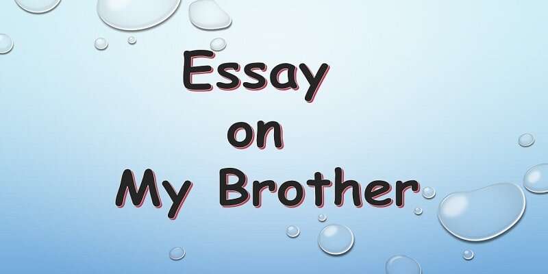 example essay my brother