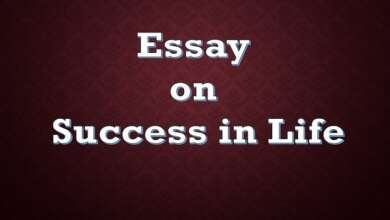 Essay on Success in Life