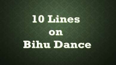 10 Lines on Bihu Dance