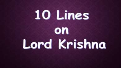 10 Lines On Lord Krishna