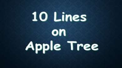 10 Lines on Apple tree