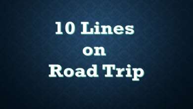 10 Lines on road trip