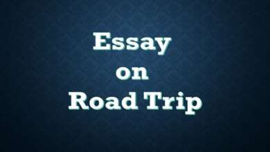 Essay on road trip