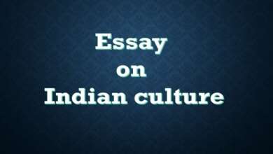 Essay On Indian Culture